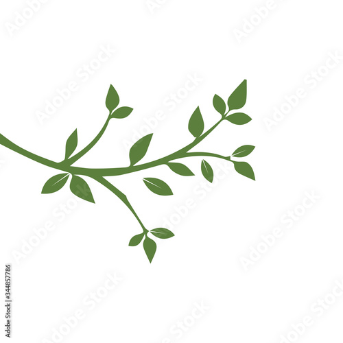 Vector branch , Hand drawn illustration of tree branch design template © Ony98
