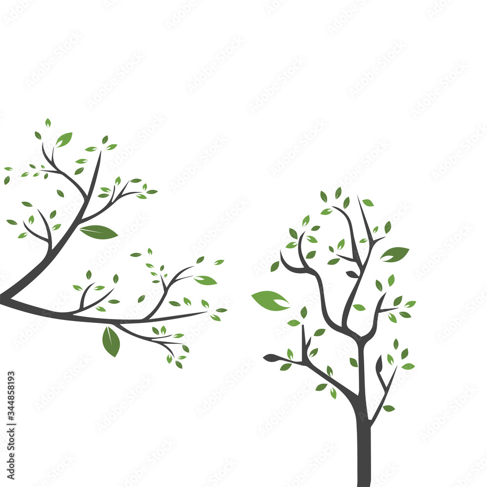 Vector branch , Hand drawn illustration of tree branch design template Vector branch , Hand drawn illustration of tree branch design template