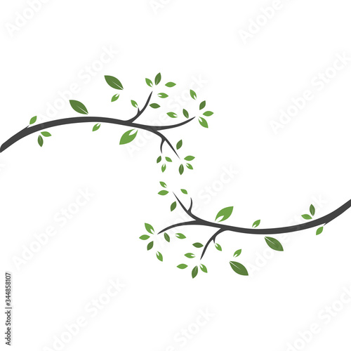 Vector branch , Hand drawn illustration of tree branch design template