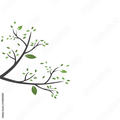 Vector branch   Hand drawn illustration of tree branch design template
