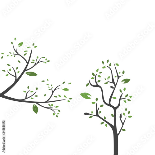 Wallpaper Mural Vector branch , Hand drawn illustration of tree branch design template Torontodigital.ca