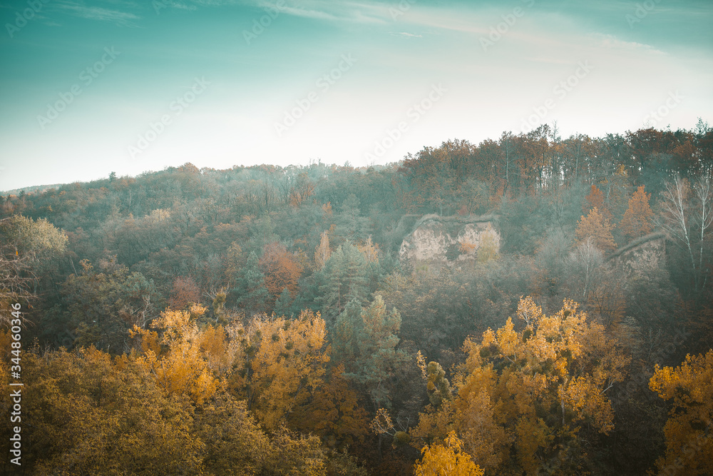 Multicolor Autumn Landscape Of Autumn Forest