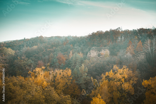 Multicolor Autumn Landscape Of Autumn Forest
