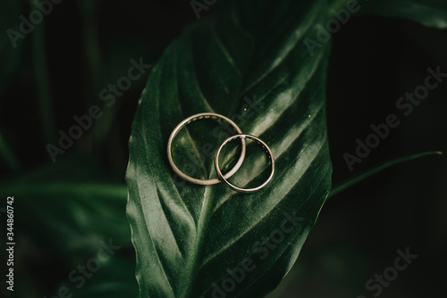 Gold rings. Jose Manuel de Lago Panadero
