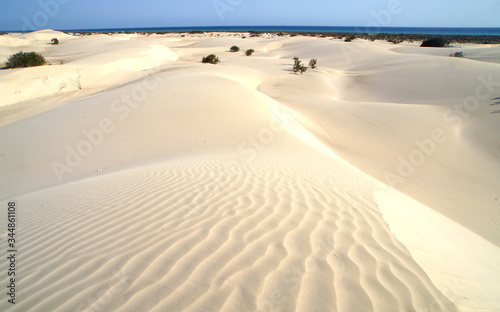 Zahaq sand dune in Socotra island  Yamen.