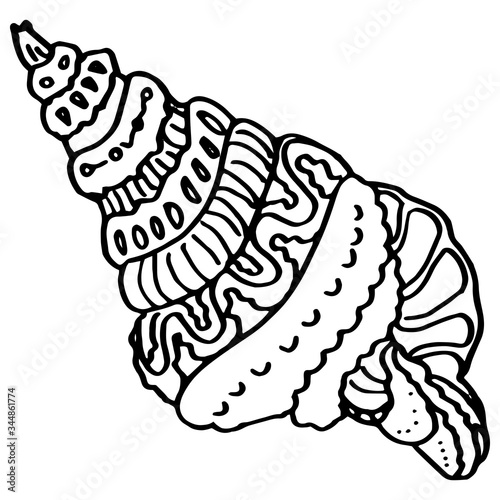 Black line seashell on white isolated backdrop. Clamshell for invitation or gift card, diving club logo, notebook sticker, bath tile. Phone case or cloth print. Doodle style stock vector illustration