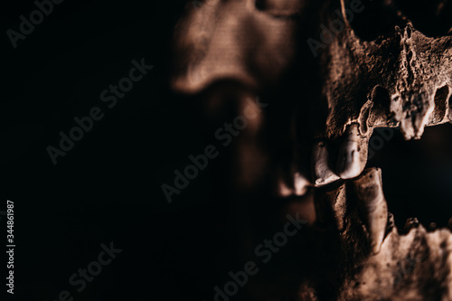 Skull of the human on a black background