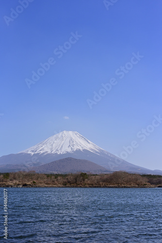 Shoji Lake and Mount fuji in japan