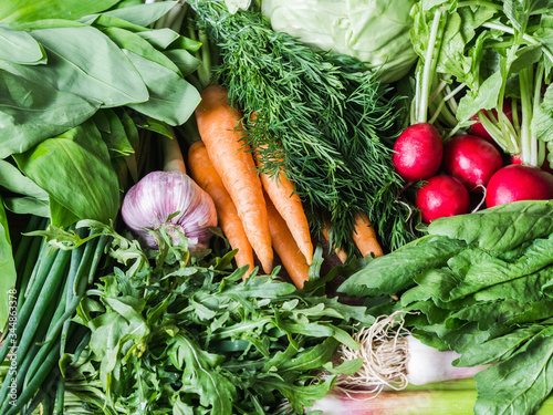 Fresh Spring vegetables and herbs - carrots, ramson, radish, dill, garlic, arugula, green onions background. Food healthy background.