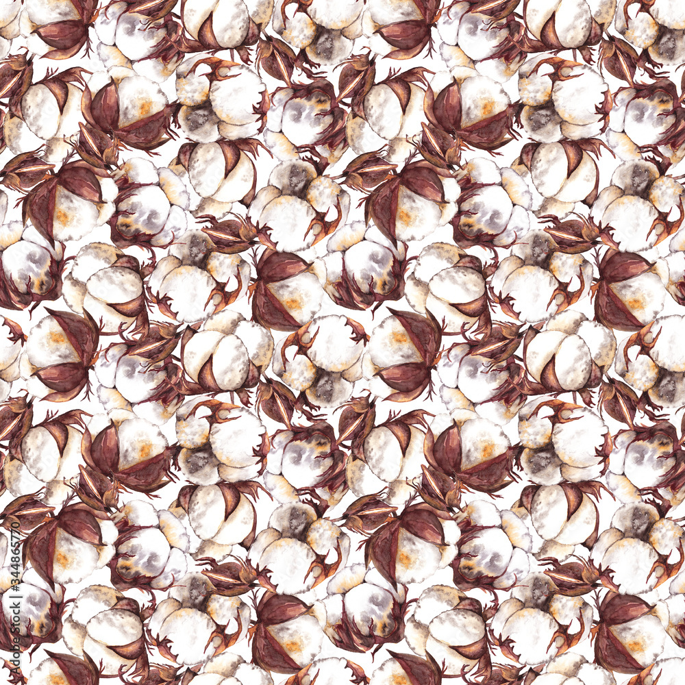 Seamless pattern of realistic dry cotton boxes and buds. Colorful elegant texture of natural plants in chaotic order. Watercolor hand painted isolated elements on white background. Seamless pattern of realistic dry cotton boxes and buds. Colorful elegant texture of natural plants in chaotic order. Watercolor hand painted isolated elements on white background.