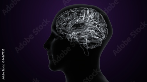 Human body with brain intersection anatomy. 3d illustration
