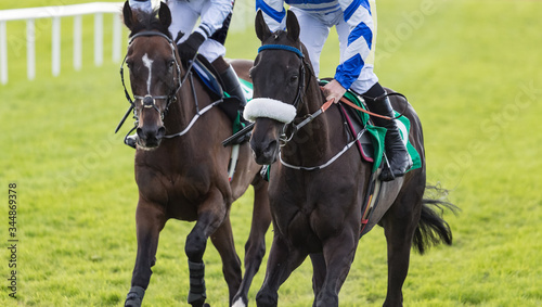 Close up on two race horses on the track