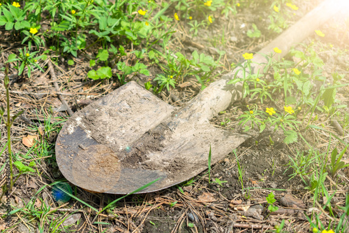 A dirty shovel in the garden lies on the ground in green grass in the summer sunshine. Tools for gardening and agriculture
