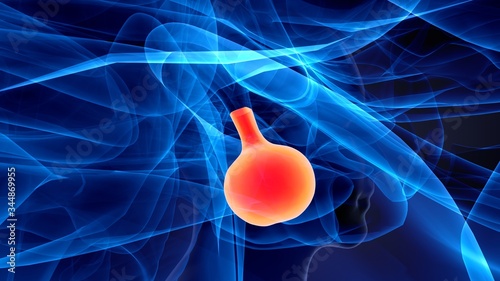 Foto 3d render of human brain pituitary gland anatomy