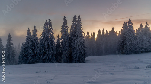 Winterlandschaft in der Dämmerung © Martin Klank