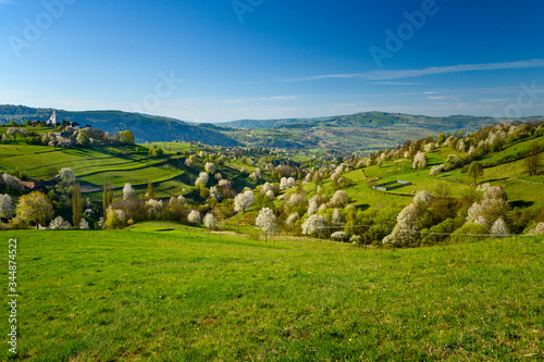 Morning light in spring landscape. Beautiful green rural agricultural fields, small houses, blossom trees, warm sunrise light. Slovakia, Europe