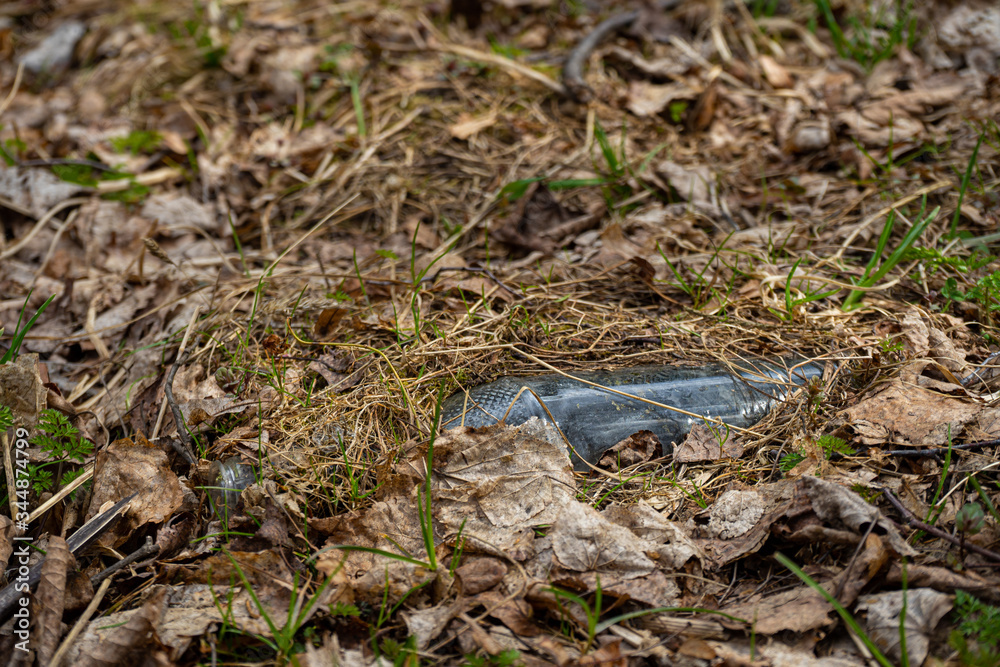 abandoned and overgrown glass bottle in the autumn forest