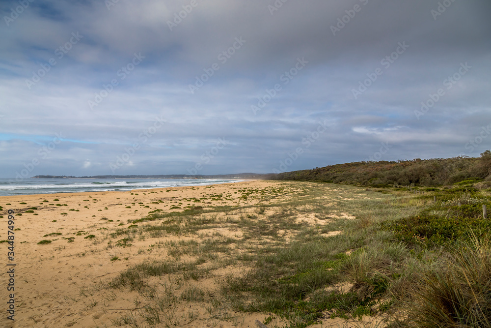 Dunes at the beach of the Camel Rock bay in New South Wales, Australia at a cloudy and windy day in summer with strong waves in the ocean. 