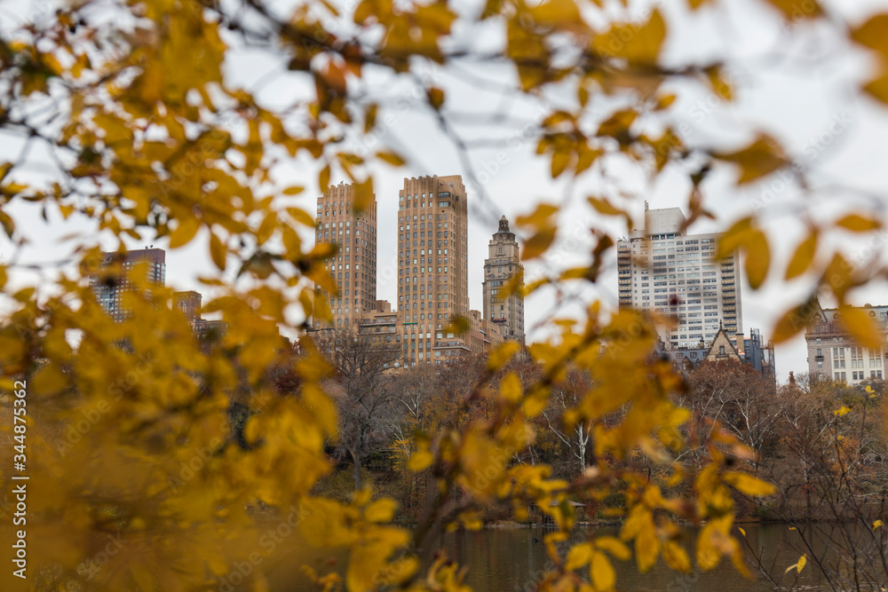 among the golden leaves of the trees we can see the great buildings of the city among the golden leaves of the trees we can see the great buildings of the city