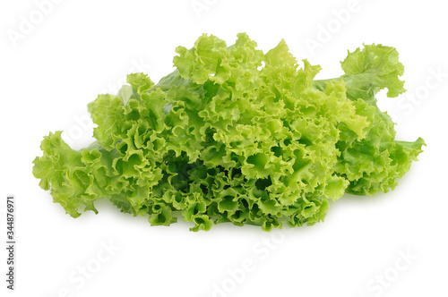 Fresh lettuce leaves isolated on white background. This has clipping path. 