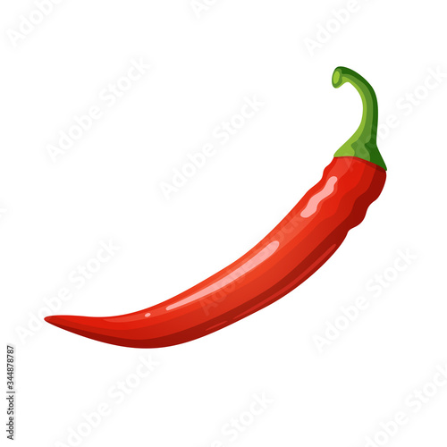 Red hot chili peppers on white background, healthy food, vegetables and spices. Vector.