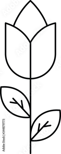 bloom