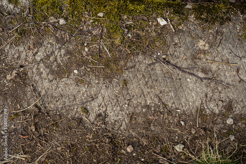 overgrown with moss of the old abandoned concrete road