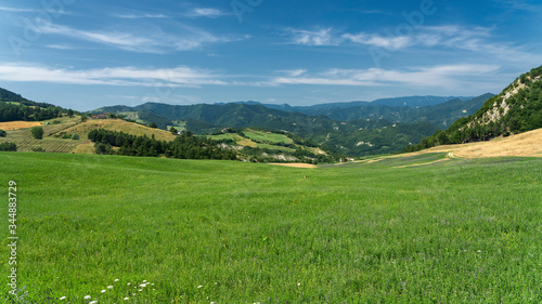 Summer landscape near Bagno di Romagna  in the Appennino