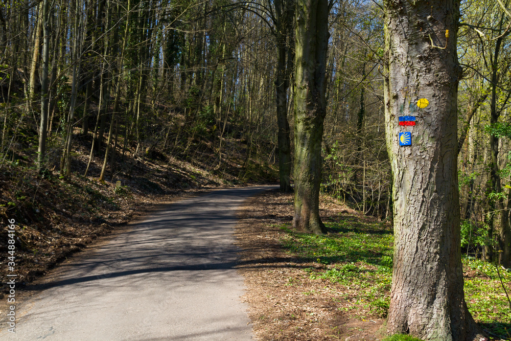 Jakobsmuschel als Wegzeichen auf dem Pfälzer Jakobsweg Nord Jakobsmuschel als Wegzeichen auf dem Pfälzer Jakobsweg Nord