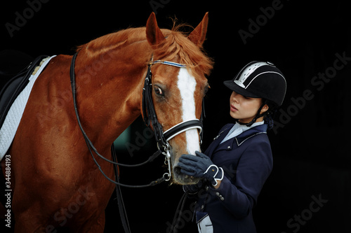 Portrait of a red dressage horse and young woman on black background. Girl with horse. Equestrian sport
