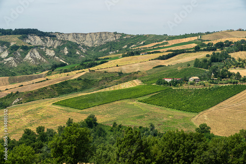 Summer landscape near Meldola, in the Appennino