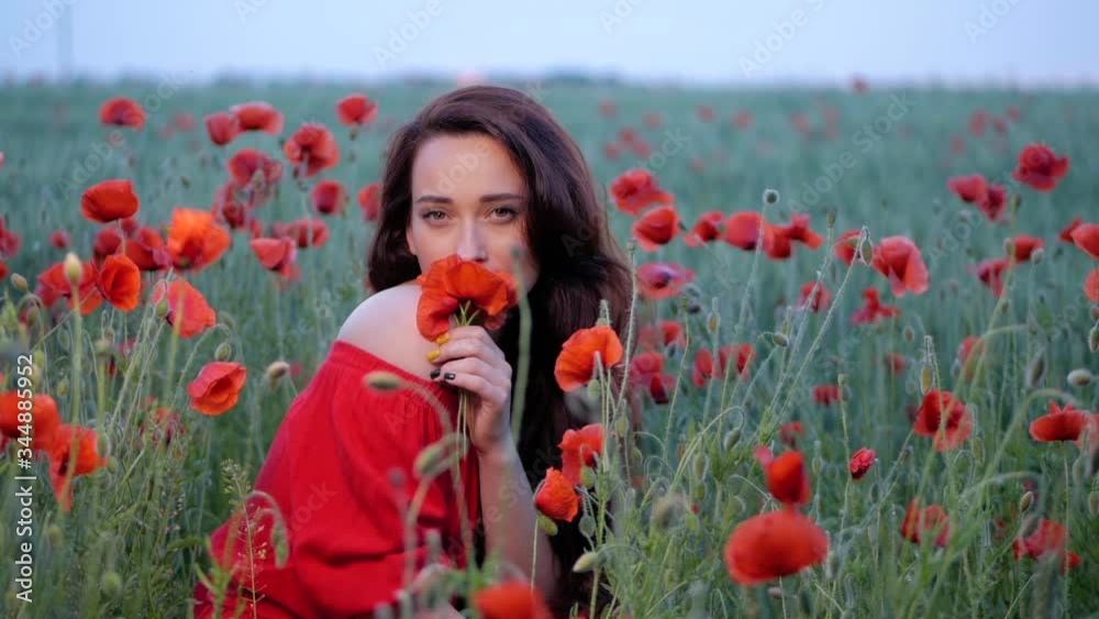 Portrait of pretty brunette girl in a red dress sitting in poppy field. Connection with nature. Blossoming poppies. Love nature concept. Portrait of pretty brunette girl in a red dress sitting in poppy field. Connection with nature. Blossoming poppies. Love nature concept.
