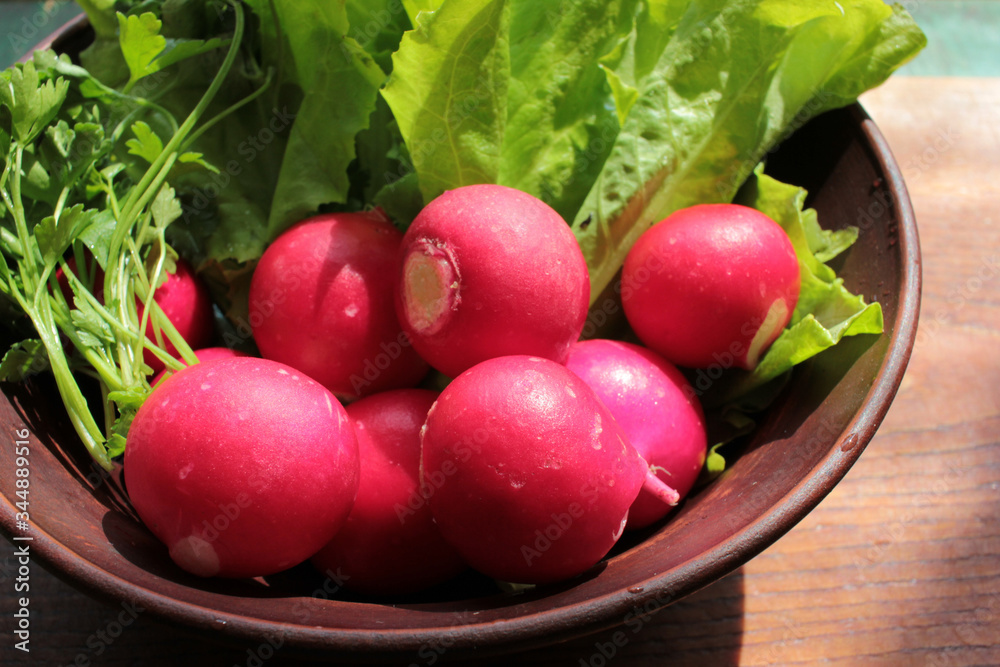 Fresh radish, lettuce and parsley in a brown ceramic salad bowl on a wooden cutboard.
Fresh radish, lettuce and parsley in a brown ceramic salad bowl on a wooden cutboard.