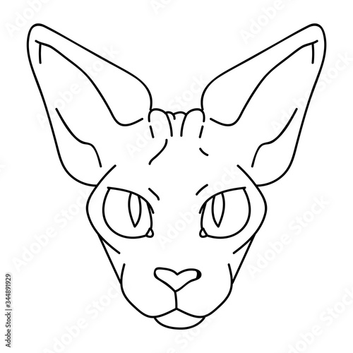 Cute cartoon monochrome sphynx cat face vector clipart. Pedigree exotic kitty breed for cat lovers. Purebred domestic kitten lineart for pet parlor illustration mascot. Isolated hairless feline.