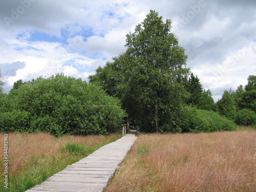 Naturlehrpfad und Naturschutzgebiet Schwarzes Moor in der Rh  n