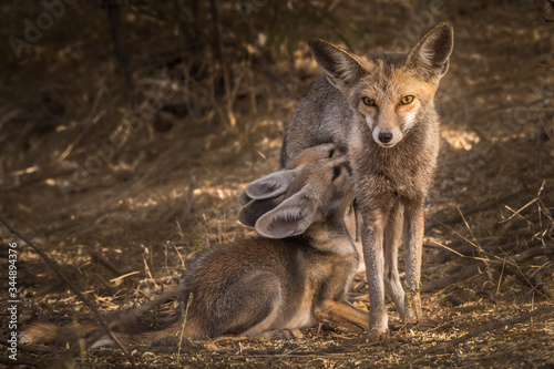 Under Mom's Care!