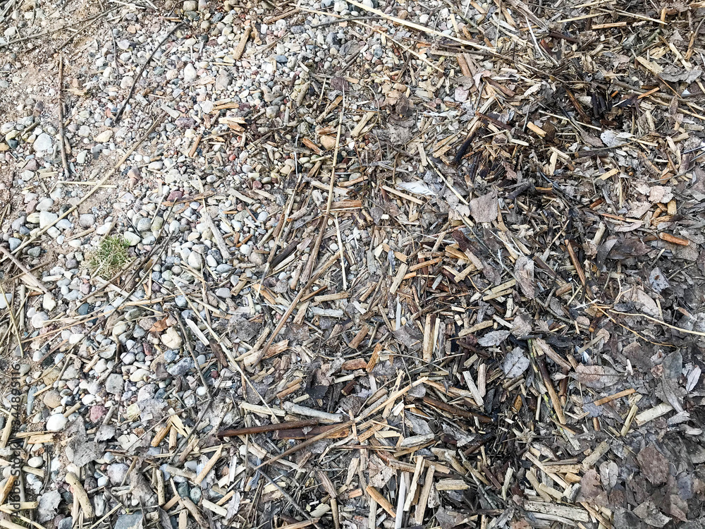 The texture of the small round beautiful natural stones cobblestones sticks and twigs in the woods on the ground. The background The texture of the small round beautiful natural stones cobblestones sticks and twigs in the woods on the ground. The background