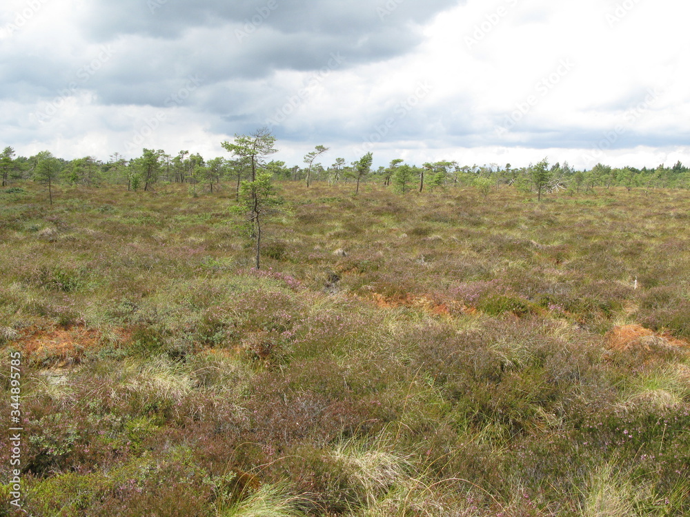 Naturschutzgebiet Schwarzes Moor in der Rhön Naturschutzgebiet Schwarzes Moor in der Rhön