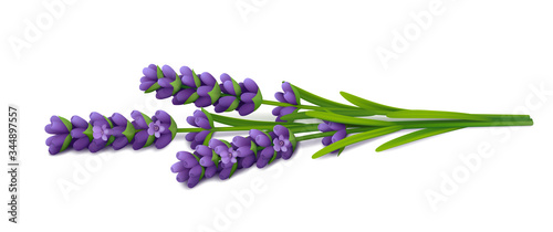 Three sprigs of fresh lavender with flowers and leaves lie horizontally with shadows on a white background. Realistic vector illustration.