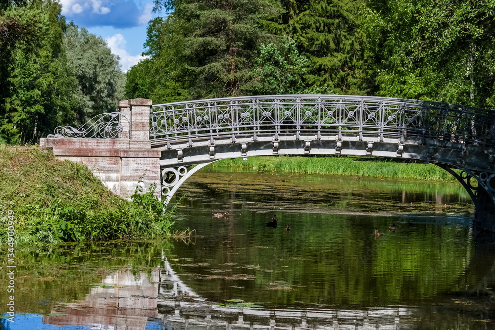 Summer landscape with a river overgrown with plants, trees, grass and a stone bridge