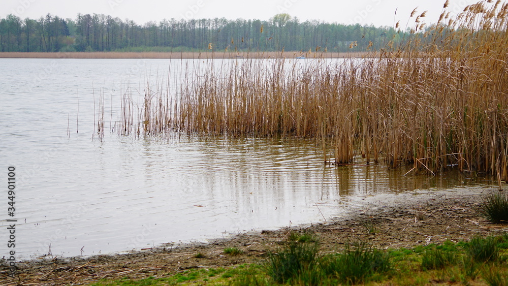 jezioro jezioro