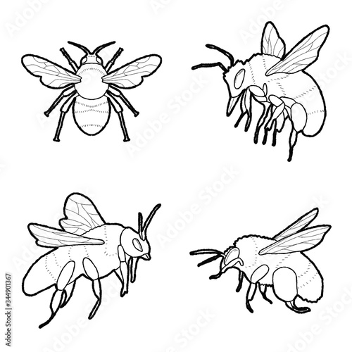 Bumblebee Vector Illustration Hand Drawn Animal Cartoon Art
