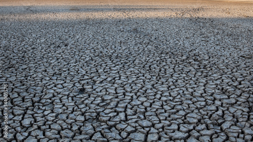 Cracked dry ground.