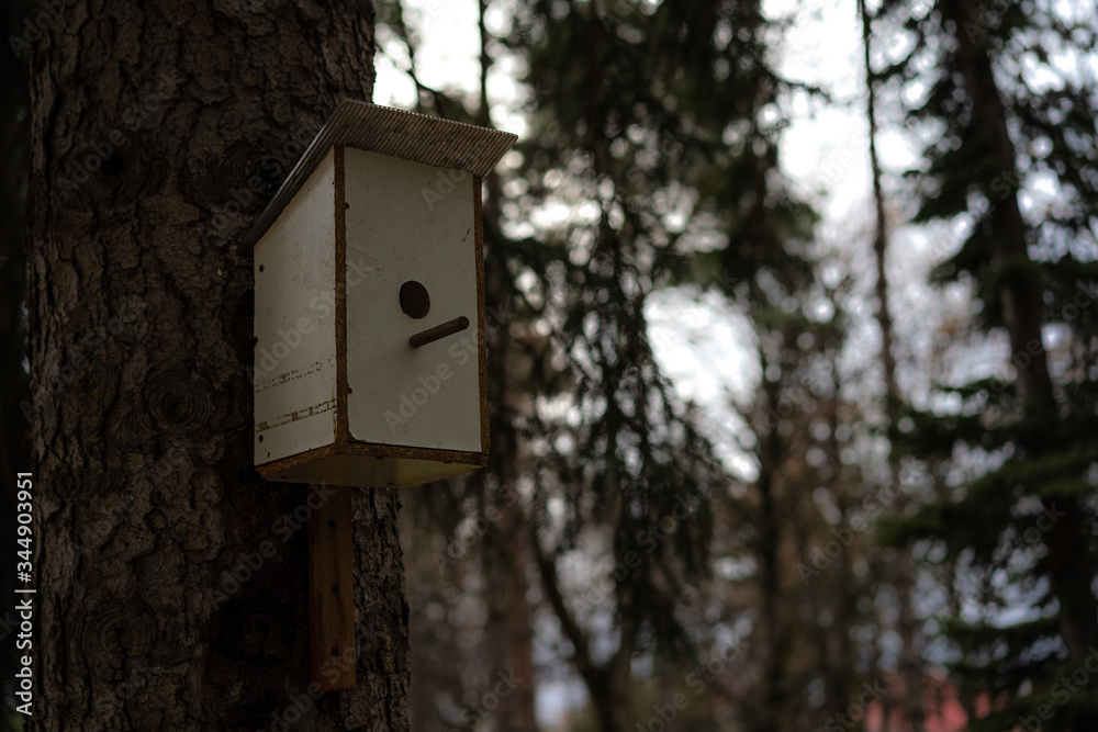 Birdhouse for birds mounted on a tree