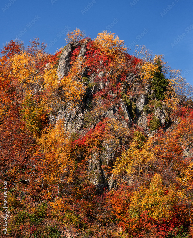 Autumn in the mountains. A rock in colorful trees. Mountain autumn landscape.