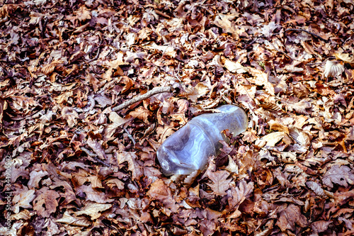 The concept of environmental pollution by human life products. Garbage from domestic waste polluted autumn forest. Dumbrava forest, Sibiu, © Roberto Sorin