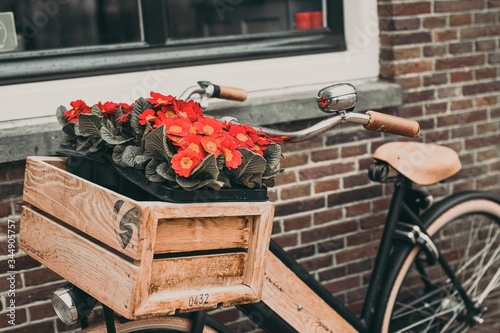 Photography Bicycle with flowers in a village in the netherlands