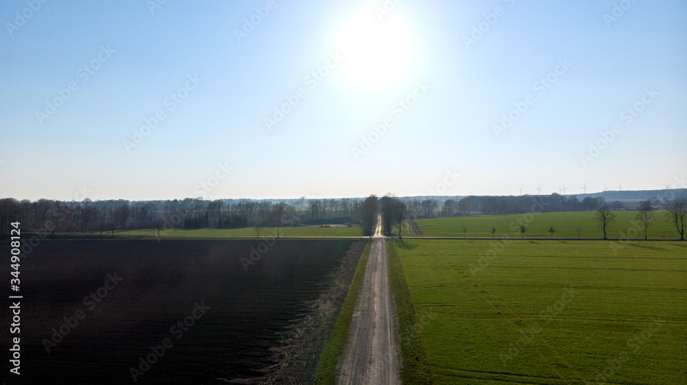 Naklejka premium Feldweg zwischen Feldern mit Wiese und Acker im Frühling oder Sommer