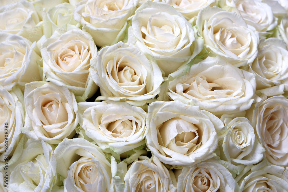 Natural floral background with bouquet of white roses Natural floral background with bouquet of white roses