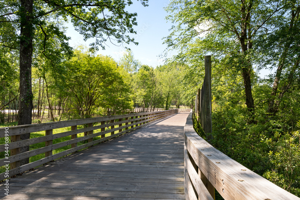 View down a long elevated boardwalk with railings and trees, areas of shade and sun, horizontal aspect